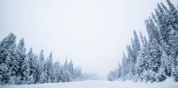 Ещё одну трассу перекрыли в Алтайском крае из-за метели