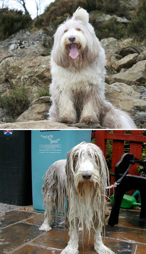 Before Vs. After Bath