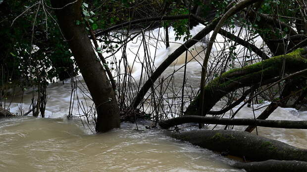 Активная фаза половодья пришла в регионы Сибири