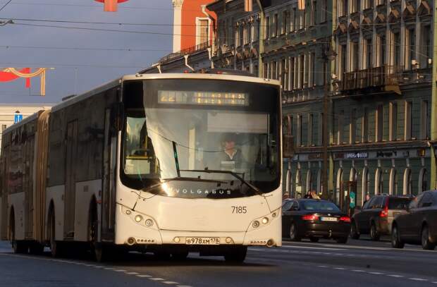 В Петербурге введут новый автобусный маршрут №239 – он соединит пять районов