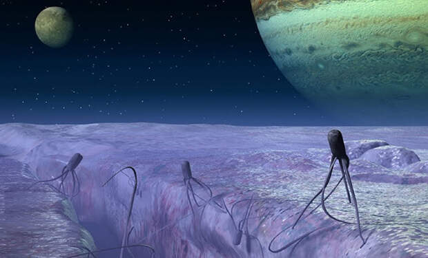 Ученые рассказали, как может выглядеть подводная жизнь на спутнике Юпитера