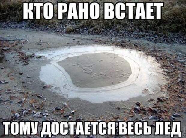 Картинки, юмор, приколы