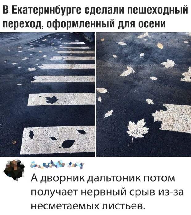 kartinok-prikolnyx-podborka-kartinki-smeshnye-kartinki-fotoprikoly