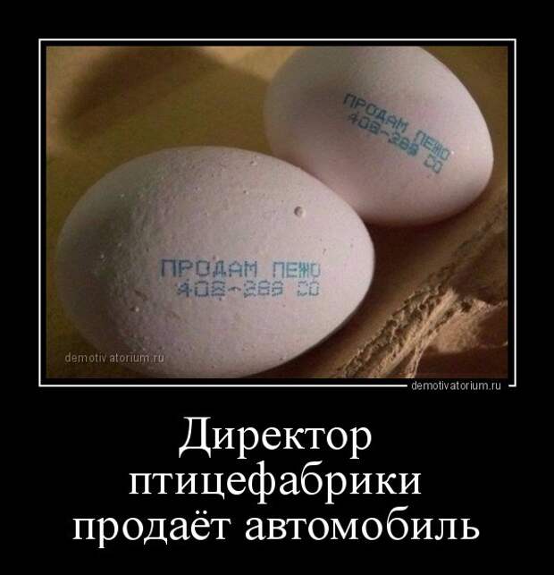 Демотиваторы на любой вкус (14 шт)