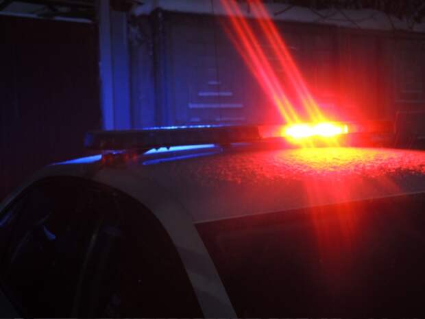 В Судогодском районе на трассе М-12 пассажир выпал из салона автомобиля