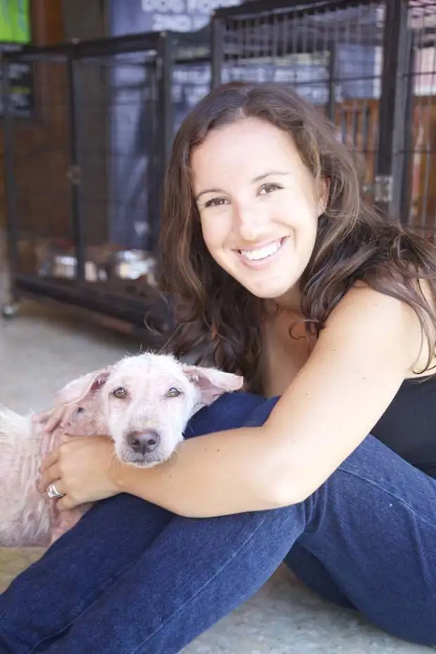 Спасение бездомного пса