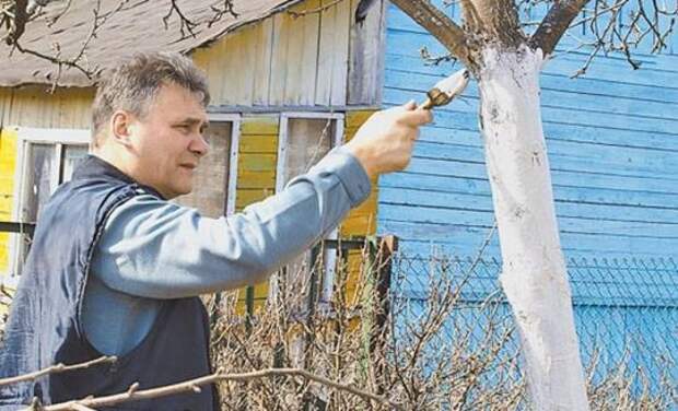 Как власти превращают дачи в обузу для граждан