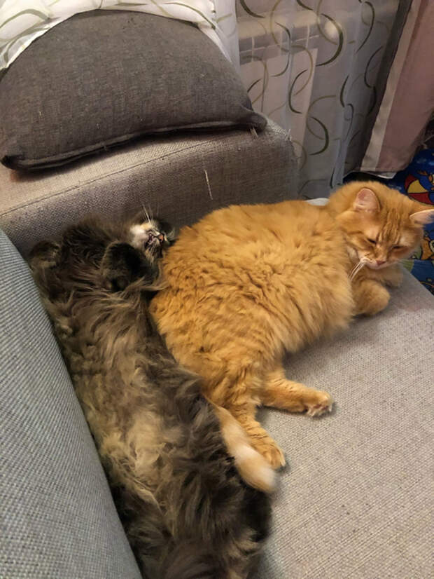 PYdmAg1iByQ (525x700, 381Kb)