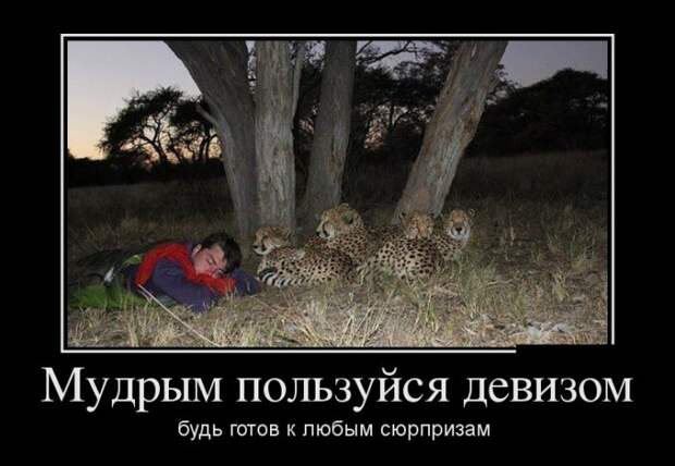 Демотиваторы (30 фото)