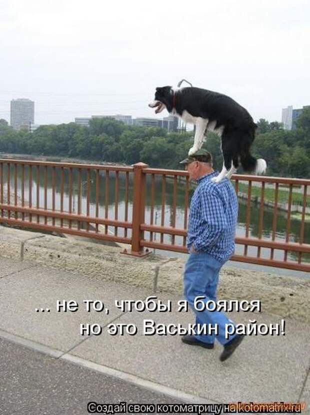 Уфф!!! Ну наконец-то! Котоматрицы великолепные, каждая с улыбкой и хорошим настроением!