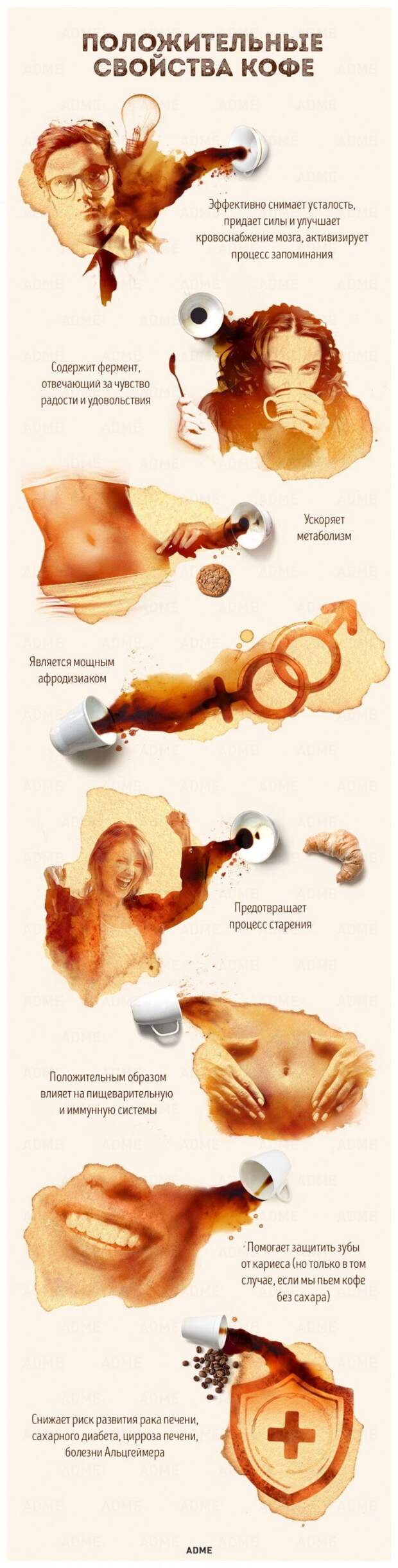 Любопытный гид по кофе