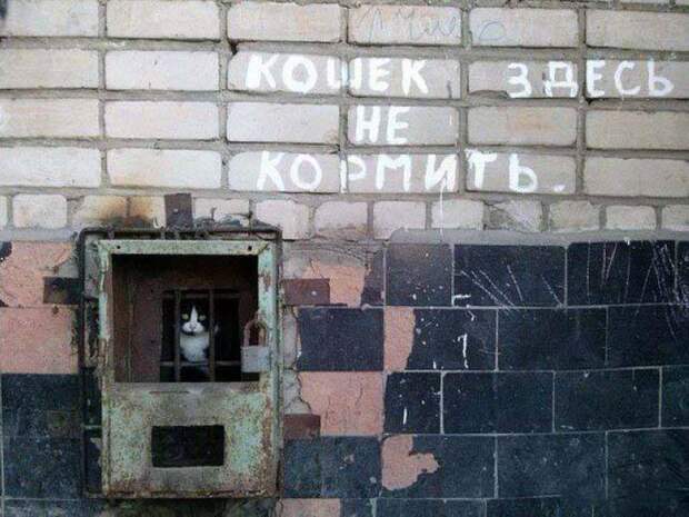 Приколы
