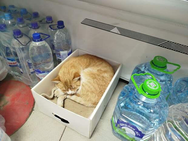 Типичный магазин в Донецке