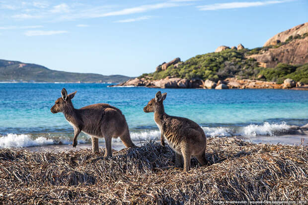 Lucky Bay