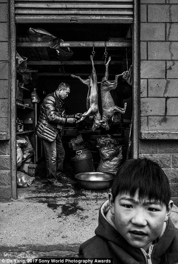 Ребенок играет около склада, где мужчина продает собачье мясо, Кайфын, Китай в мире, дети, жизнь