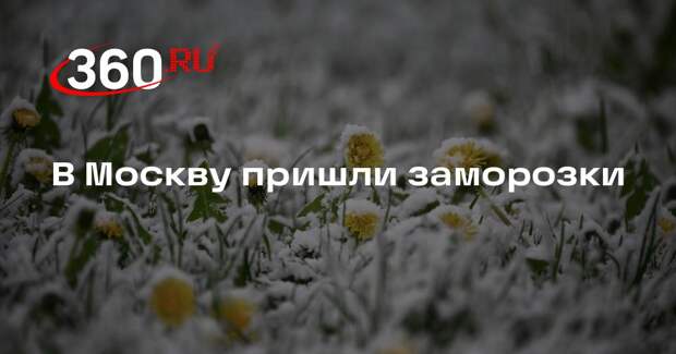 Синоптик Тишковец: в Московском регионе ударили заморозки до -5,6 градусов