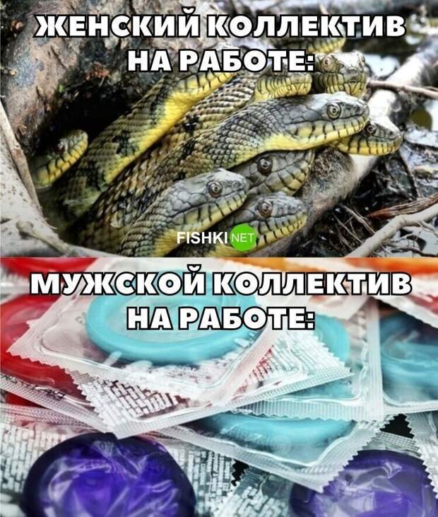 Очень важный, но смешной пост о контрацепции