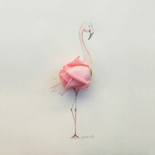 flamingorosaoriginal-579ca52da210e-png__880