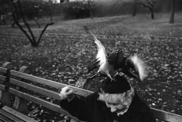 Женщина с голубями. США, Нью-Йорк, 1976 год.