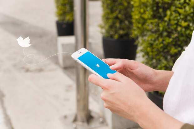 После ареста Дурова Telegram будет модерировать приватные чаты