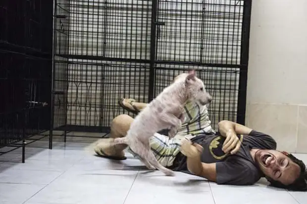 Спасение бездомного пса