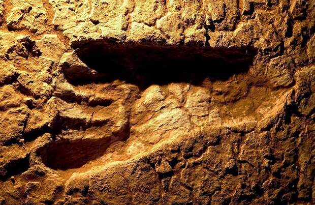 Фото: Климатические изменения стали причиной миграции человека из Африки Климатические изменения стали причиной миграции человека из Африки