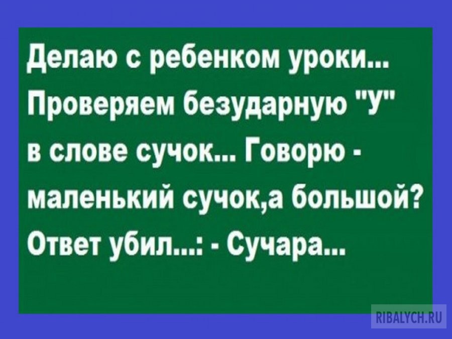 воскресный юмор