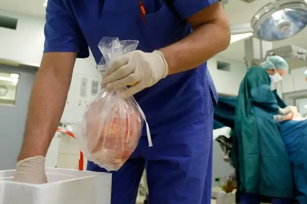 Исторические личности, которые впали в анабиоз и обязательно вернутся