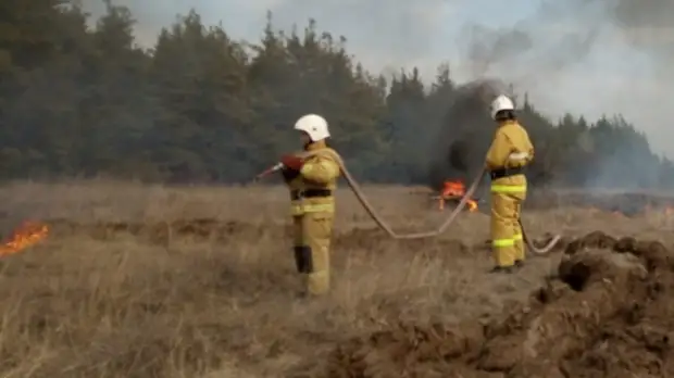 Особый противопожарный режим введен в Ростовской области с 28 апреля