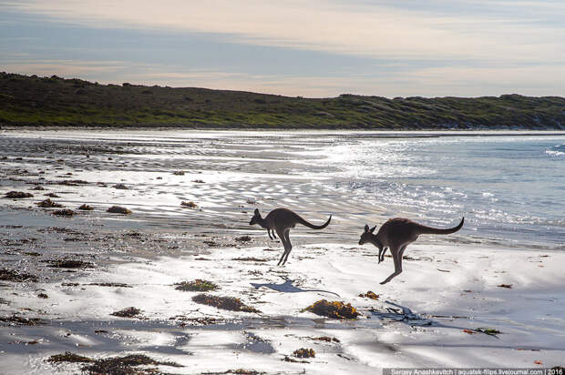 Lucky Bay
