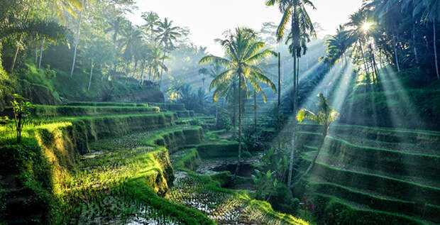 Остров Бали. / Фото: travelestategroup.com