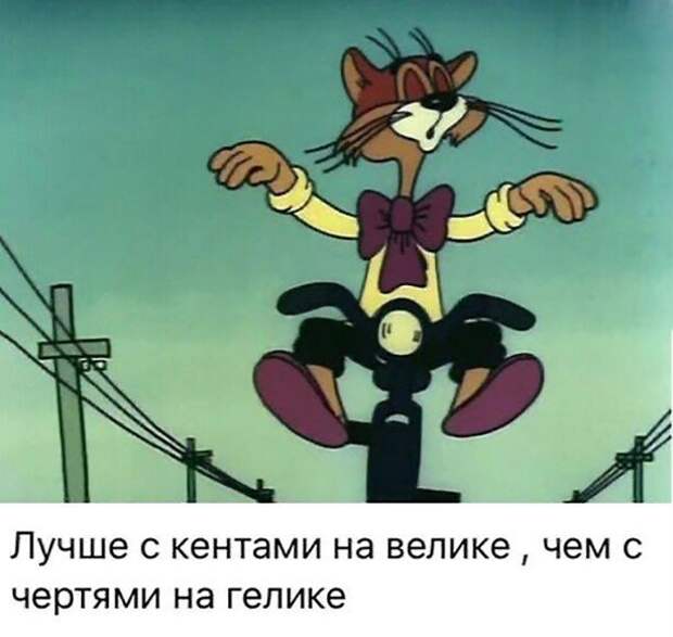 Прикольные и смешные картинки