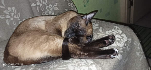 W9uemHukqQg (700x323, 194Kb)