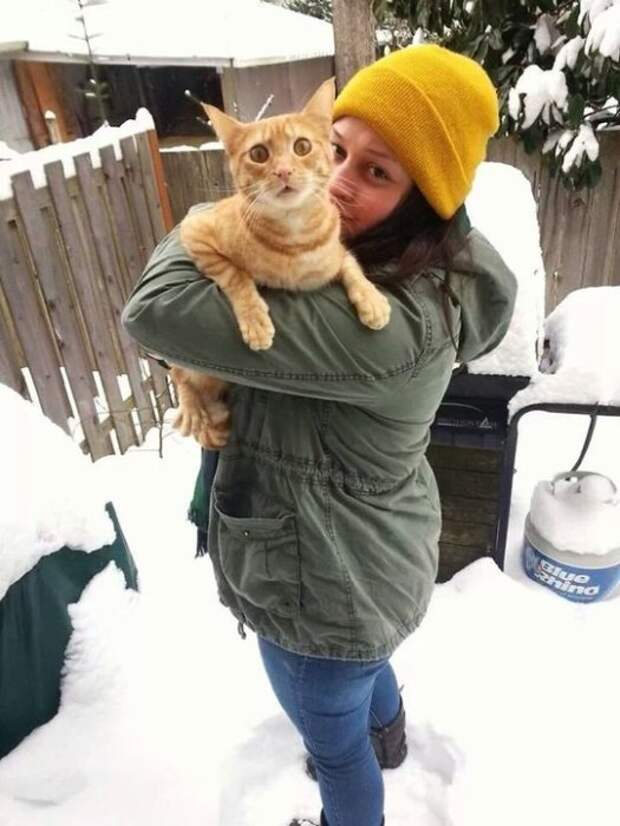 Рыжий кот, который очень боится снега и совершенно против прогулок по снегу.