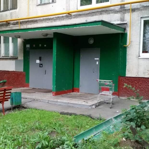Ленивее этого поста только ленивцы
