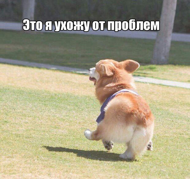 Подборка картинок. Вечерний выпуск (55 фото)