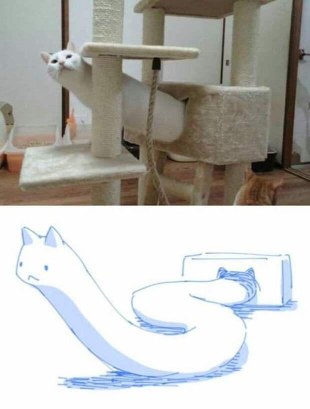 Прикольные картинки