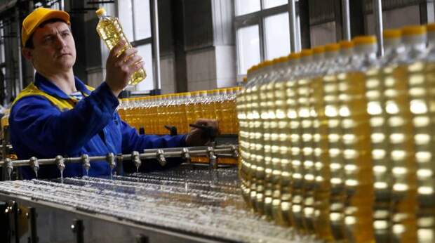 Россия заняла первое место в мире по экспорту подсолнечного масла