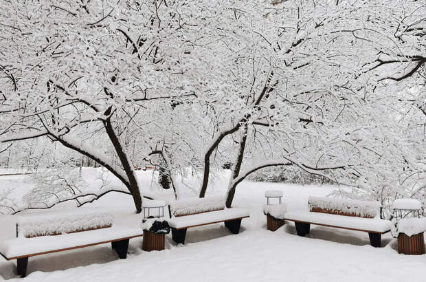 Снегопады продолжатся в Москве и Подмосковье на длинных выходных