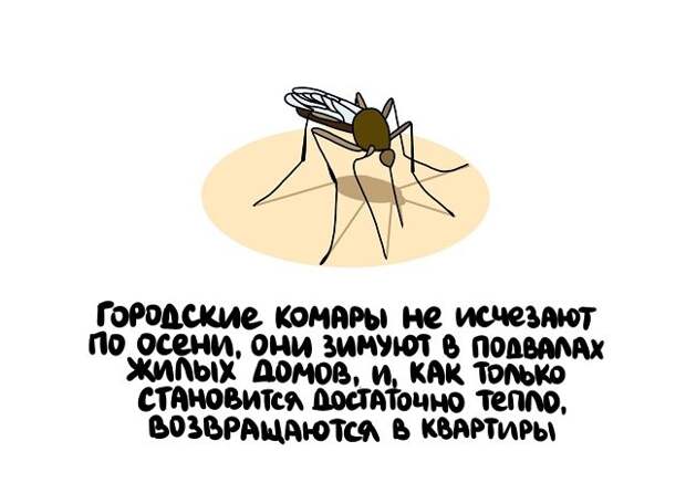 Интересные факты на все случаи жизни