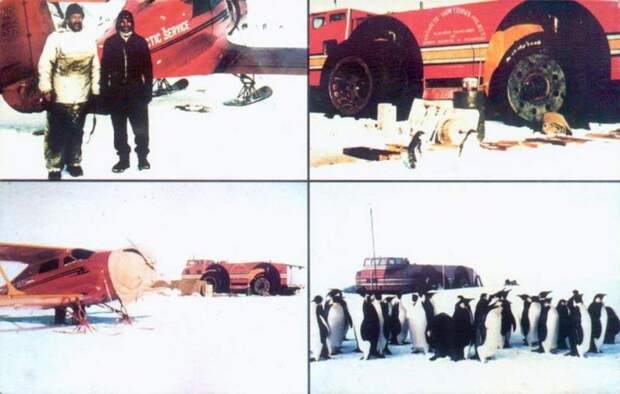 авто, вездеход, Snow Cruiser