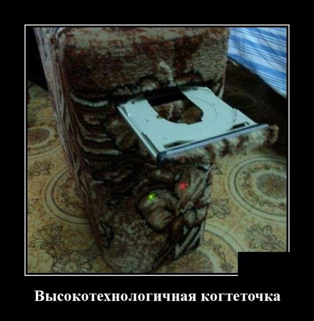 Демотиваторы