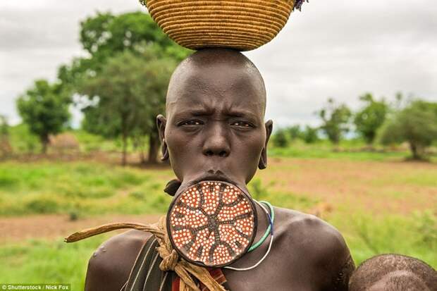 Женщина африканского племени Мурси (Долина Омо, Эфиопия) демонстрирует свой губной диск - доказательство женской зрелости и сигнал к тому, что она готова рожать детей модификации, модификация тела, народы мира, традиции мира