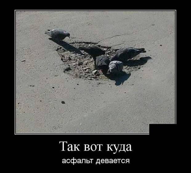 Пятничные демотиваторы для улыбки (11 фото) Пятничные демотиваторы для улыбки (11 фото)