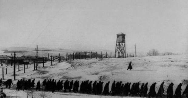 Как Солженицын с Шаламовым превратили убийц и предателей в героев 