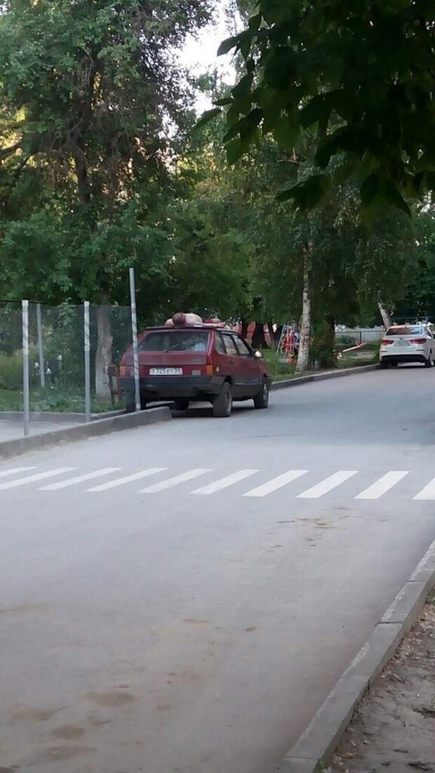 Они знают толк в пляжном отдыхе загар, пляж, прикол, юмор