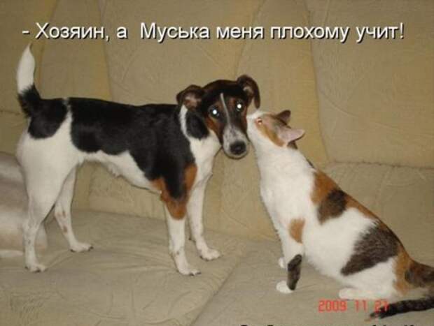 102e240f0ee33cdf337e4fda10c_prev