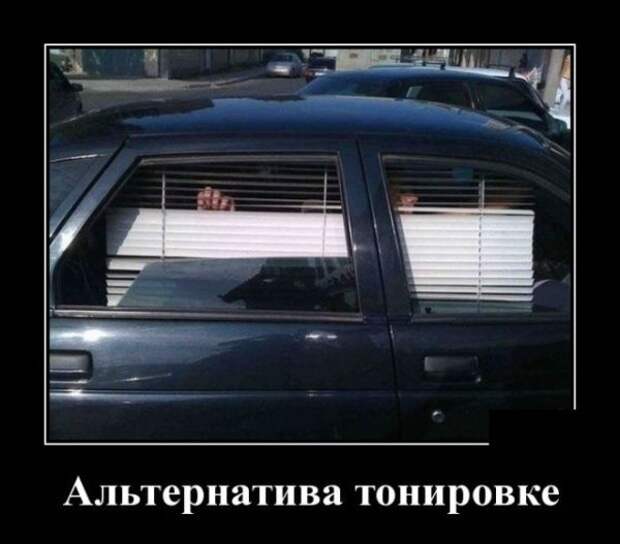 Демотиваторы, смотреть и поднимать настроение