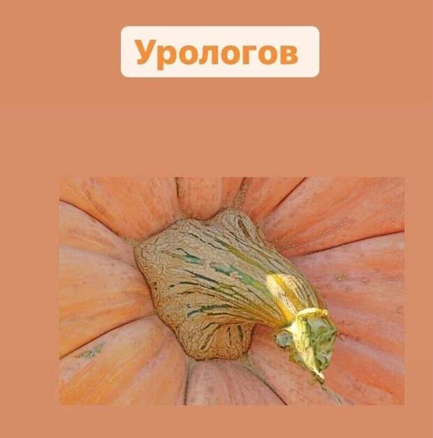 Что выросло - то выросло Что выросло - то выросло