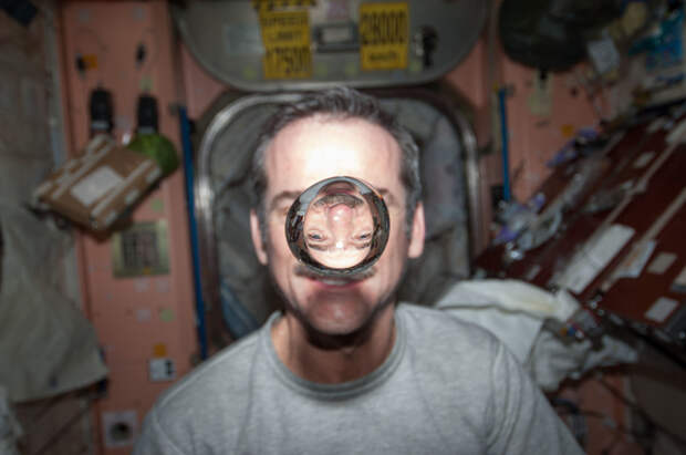 12. Популярный вид селфи в космосе космонавты на мкс, невесомость, развлечения